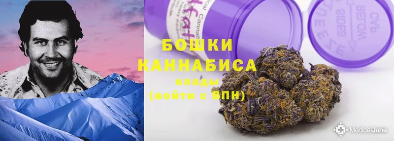 Конопля OG Kush  Рассказово 